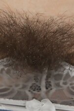 WeAreHairy Free Anissa Thumbnail #3